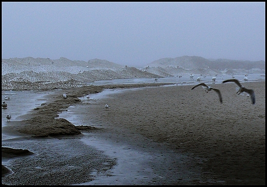 Koobrzeg.