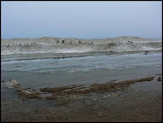 Koobrzeg.