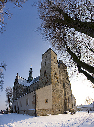 Opatowska kolegiata w panoramie