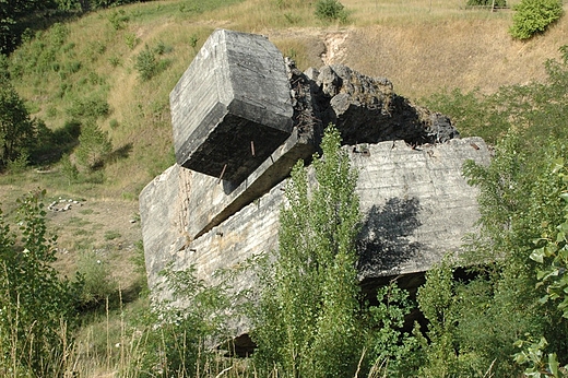 Panzerwerk. Grupa Warowna Cegielnia (schron nr 10). Wacz