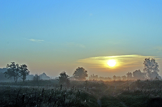 Skoro wit w ernikach 25.09.2010