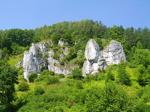 W Dolinie Bdkowskiej.