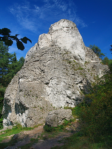 Ostaniec skolny w Rez. Gra Zborw.