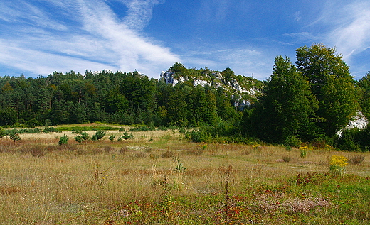 Panorama Rez. Gra Zborw.