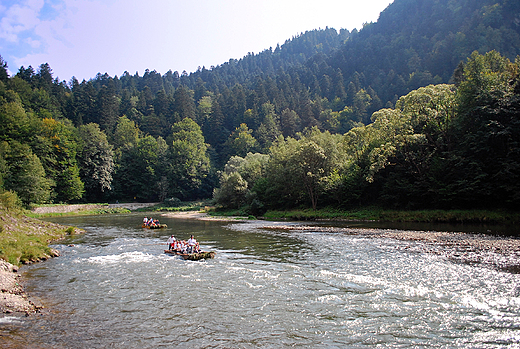 Dunajec w Pieninach.