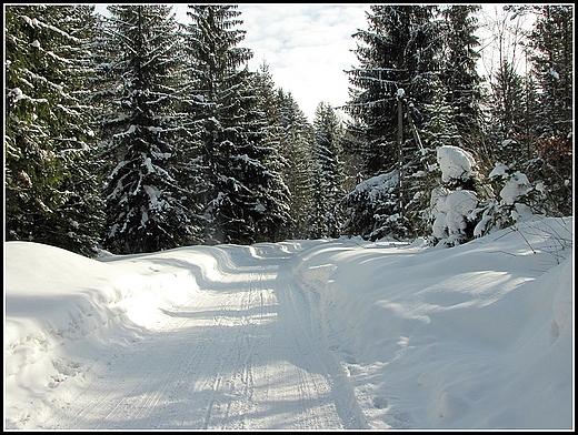 Zima w Beskidach.