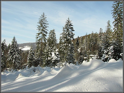 Zima w Beskidach.