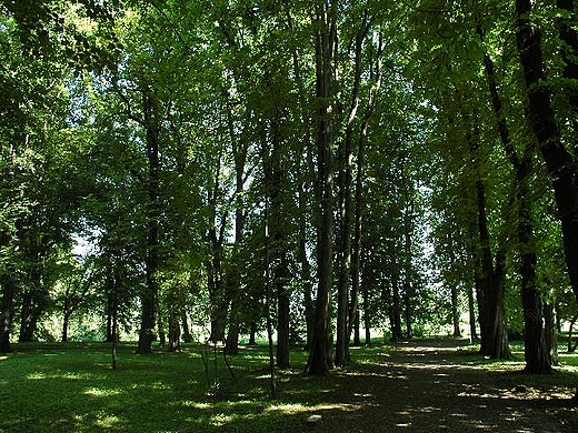 arnowiec - park angielski przy dworku  Marii Konopnickiej