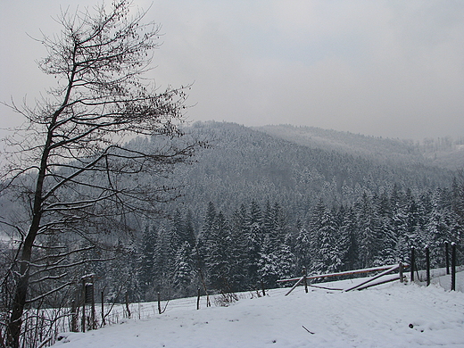 zima w Ustroniu