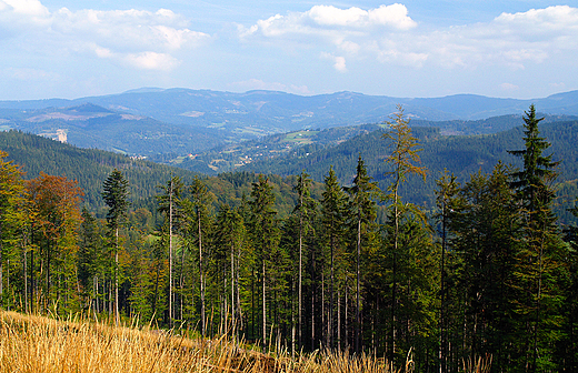 Panorama Beskidu lskiego ze zbocza Stoka.