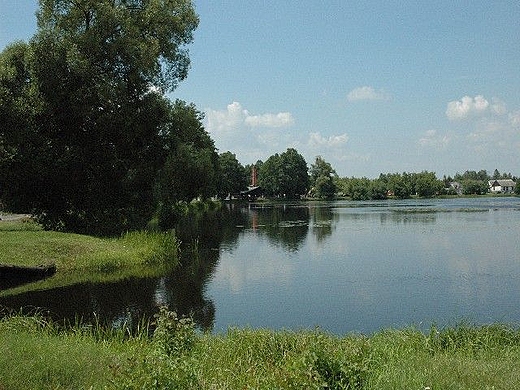 Ruda Maleniecka - staw fabryczny