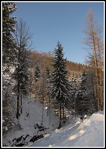 Zima w Beskidach.