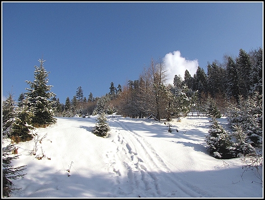 Zima w Beskidach.