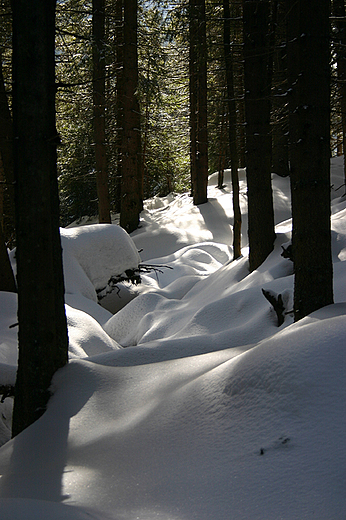 Tatry, w drodze do Morskiego Oka