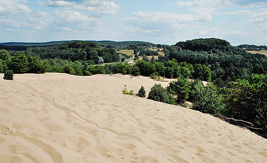 Widok na Pustyni Siedleck.