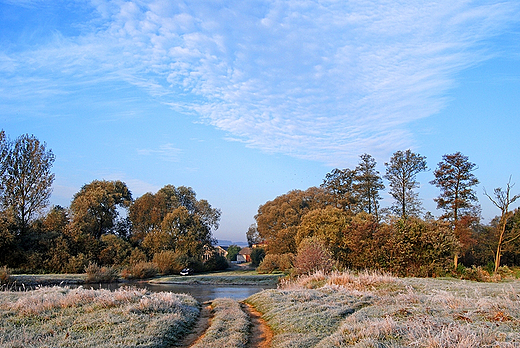 Brd na Biaej Nidzie w ernikach 11.10.2010