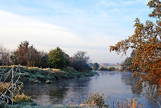 Brzegi rzeka Nida koło Żernik 11.10.2010