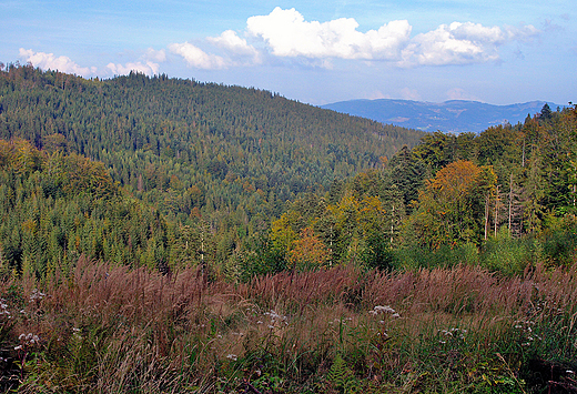 Panorama Beskidw spod Stoka.