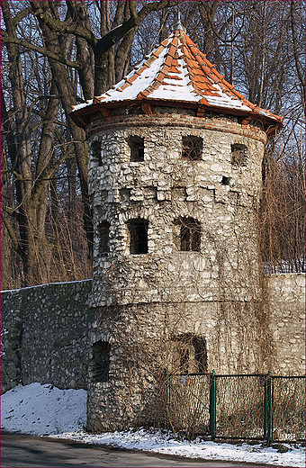 Zesp Paacowo Parkowy w Moszowej - baszta w  narou parku