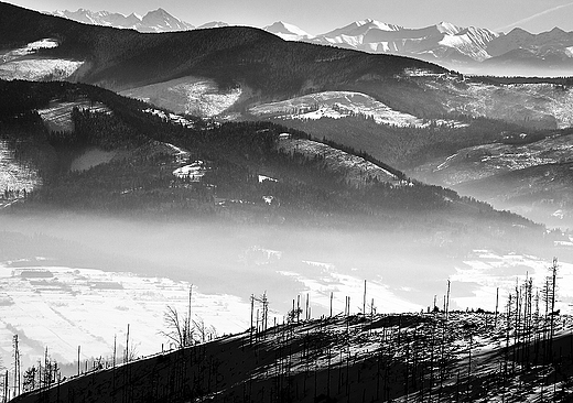 Baraniogrskie panoramy