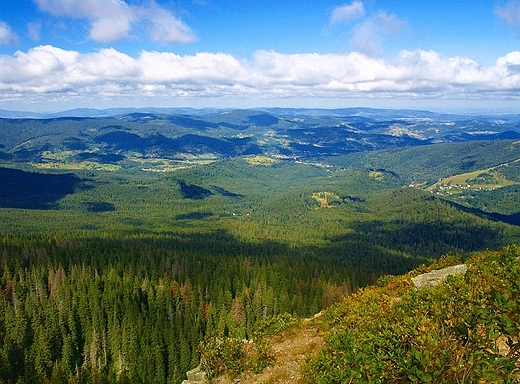 Widok na Beskidy z Sokolicy