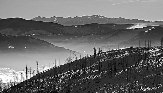 Baraniogrskie panoramy