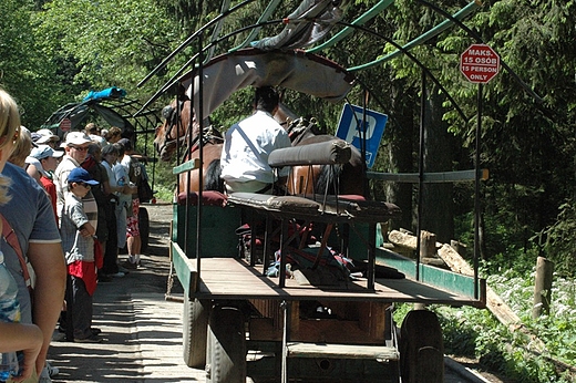 Bryczki kursujce nad Morskie Oko