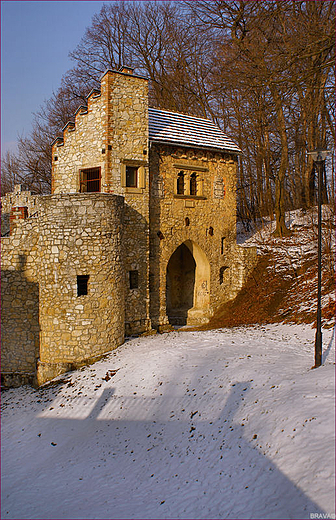 Zesp Paacowo-Parkowy w Moszowej - Brama Krlewska