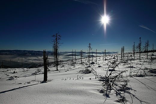 Baraniogrskie panoramy