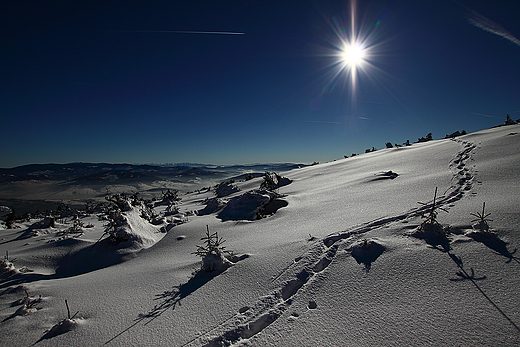 Baraniogrskie panoramy