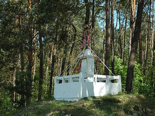 Nida - pomnik zadrzewienia wydm piaskowych