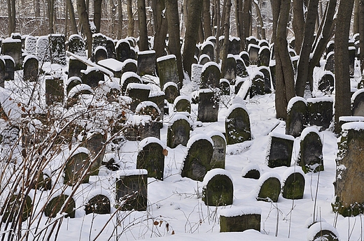 na cmentarzu ydowskim w Warszawie