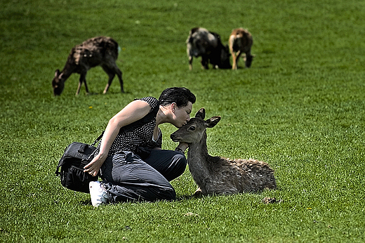 Park Dzikich  zwierzt