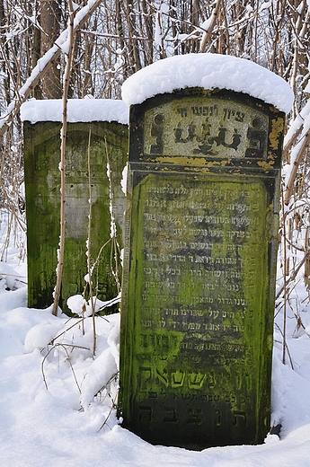 cmentarz ydowski w Warszawie
