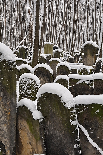 cmentarz ydowski w Warszawie