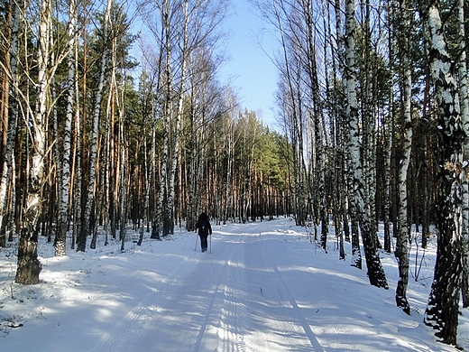 Okolice Marcinkowa