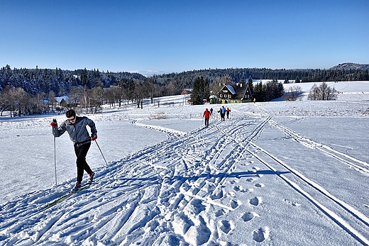 Widok na Karkonosze z Gr Stoowych