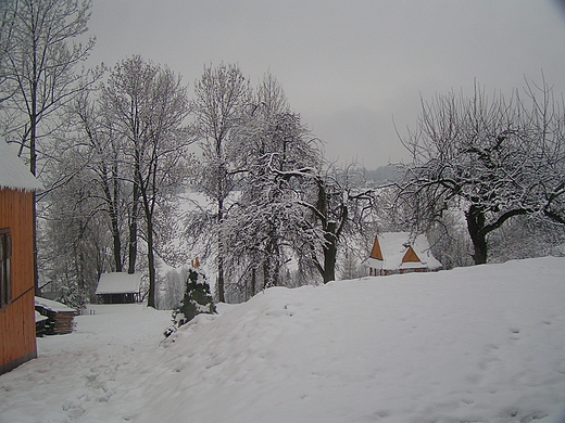 zima w Bukowinie