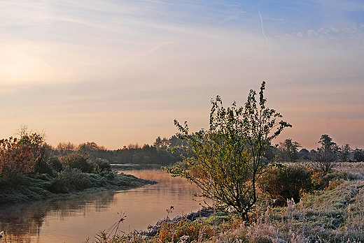 Czarna Nida erniki 11.10.2010