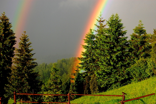 Przy schronisku na Durbaszce