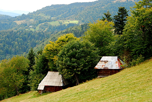 Szaasy pasterskie nad Kokuszk