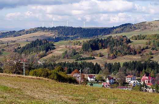 Beskid lski w pobliu Zwardonia.