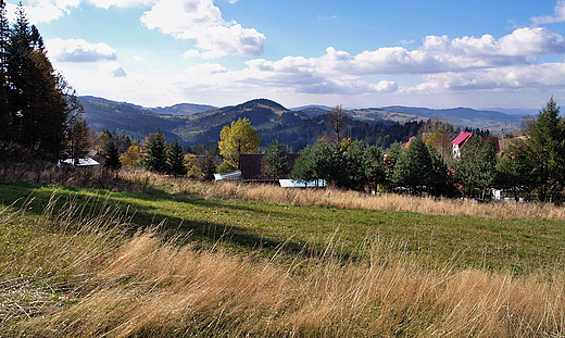 Panorama okolic Zwardonia.