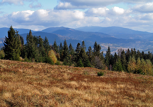 Panorama Beskidu lskiego ze zboczy Rachowca.