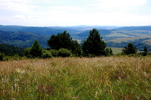 Polany Surowiczne. Beskid Niski