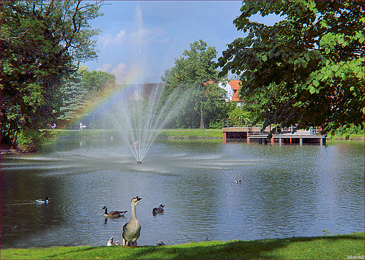 Park Miejski w Andrychowie