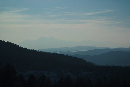 Widok Tatr z drogi Runek - Pusta Wielka. Beskid Sdecki