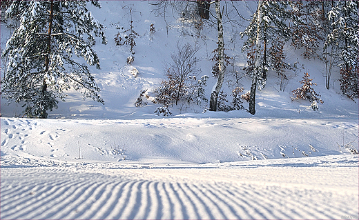 Dolomity Sportowa Dolina - Bytom