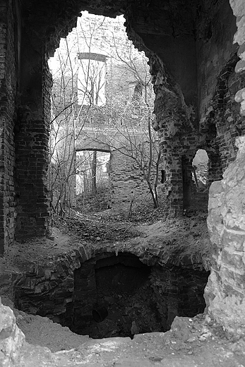Ruiny paacu w Nieznanowicach