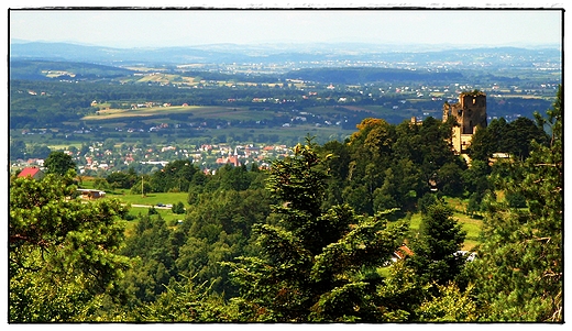 ruiny w odrzykoniu, szeroki widok